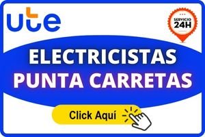 ELECTRICISTAS EN PUNTA CARRETAS